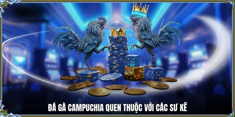 Đá gà Campuchia quen thuộc với các sư kê