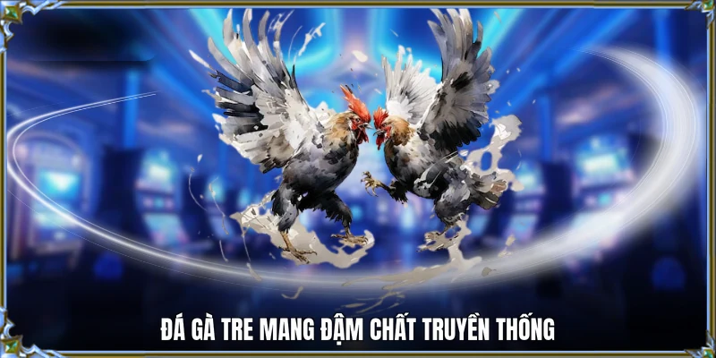 Đá gà tre mang đậm chất truyền thống