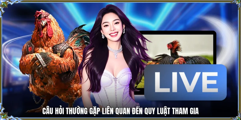 Câu hỏi thường gặp liên quan đến quy luật tham gia