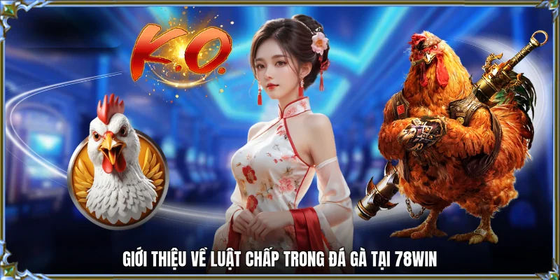 Giới thiệu về luật chấp trong đá gà tại 78WIN