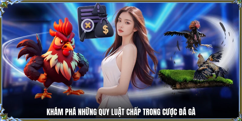 Khám phá những quy luật chấp trong cược đá gà