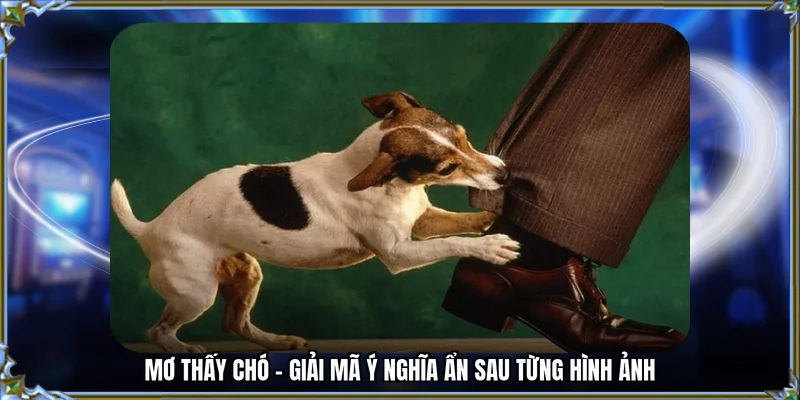 mơ thấy chó 78win me