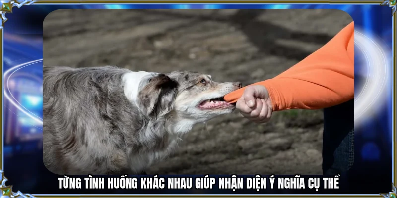 Từng tình huống khác nhau giúp nhận diện ý nghĩa cụ thể